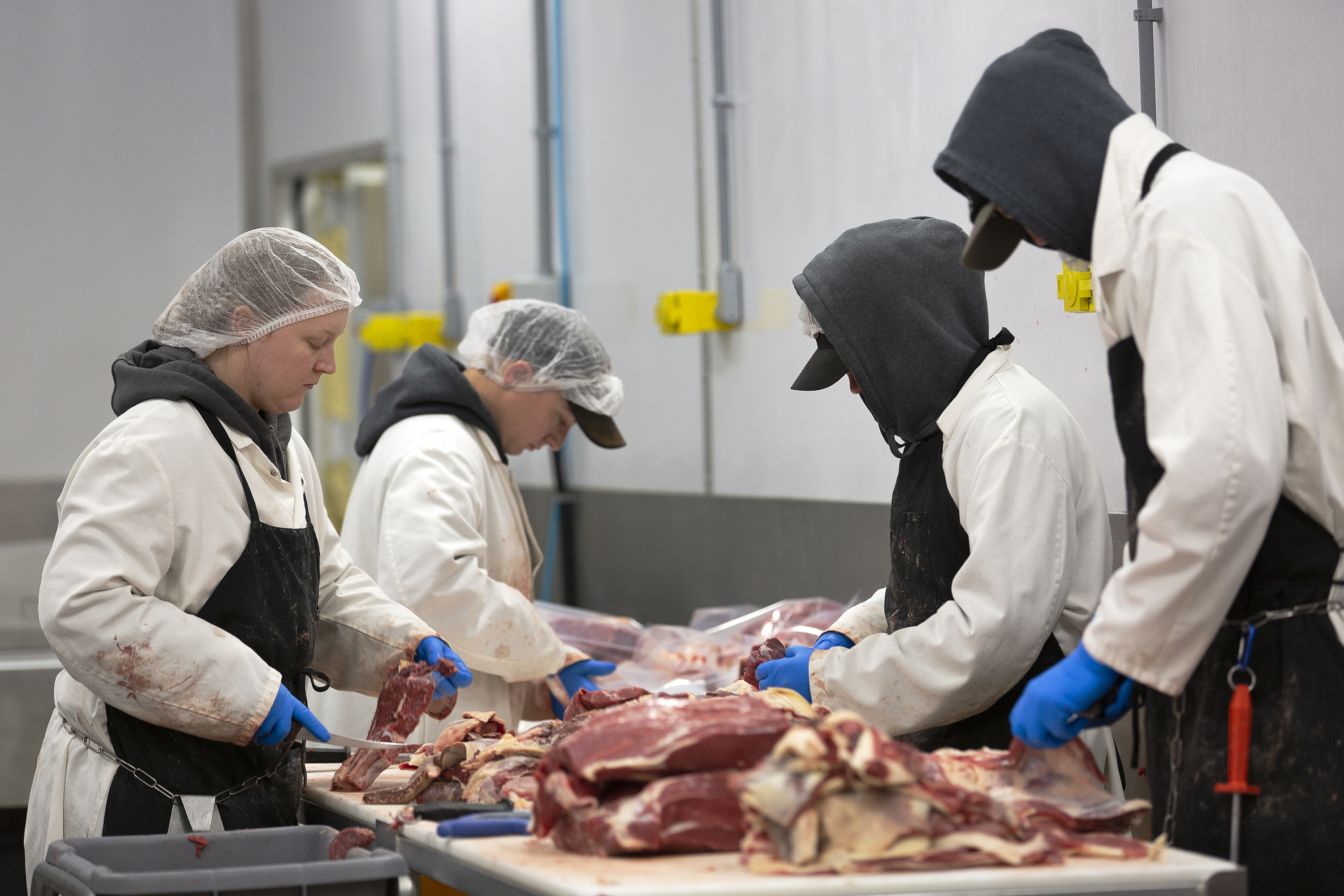 Professional butcher using stockinette for carcass handling