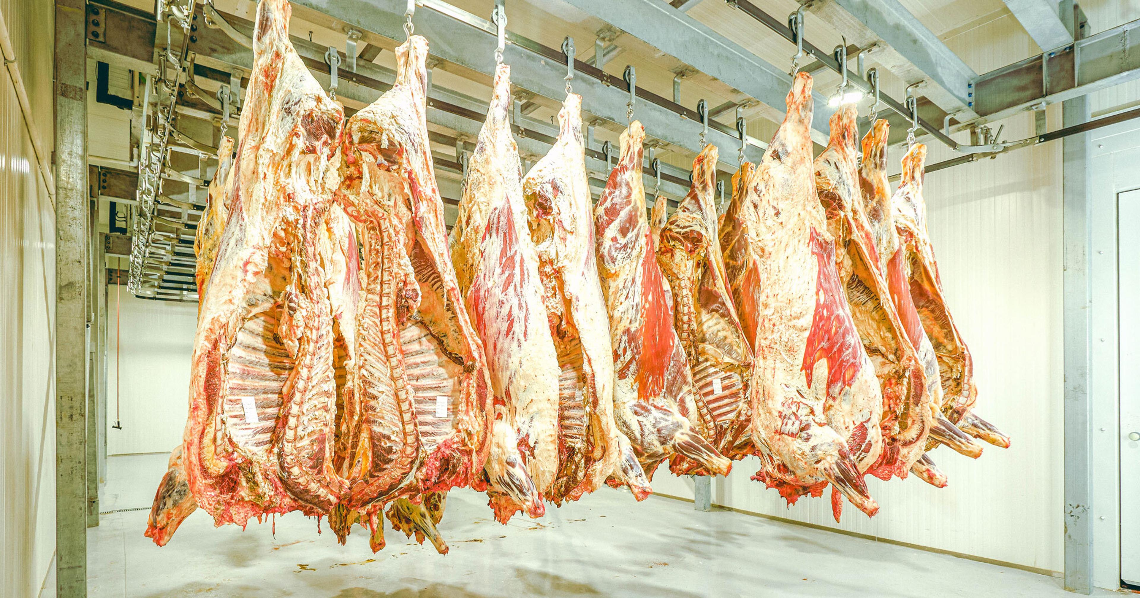 Meat Processing Industry Trends 2026