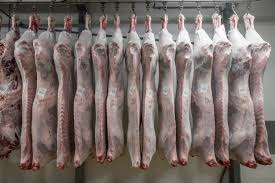Beef Carcass Bags - professional grade carcass protection