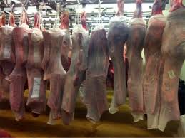 Multiple carcasses covered in stockinette